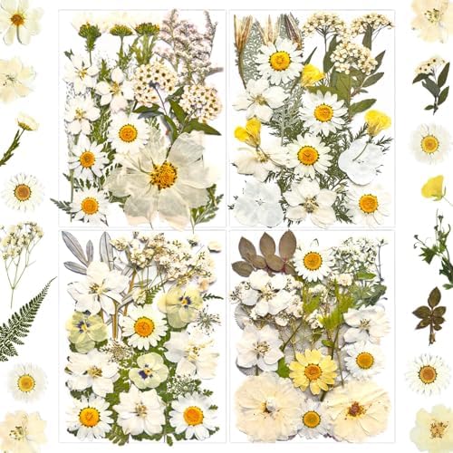 MIKIYA 90Pcs White Dried Pressed Flowers for Resin Molds, Real Natural Bulk Dry Floral Leaves for DIY Art Crafts, Epoxy Jewelry, Candle, Soap Making, Nails Decors Gifts