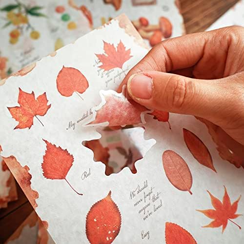 Dizdkizd Nature Botanical Stickers for Journaling, Ephemera Sticker Book, Translucent Washi Sticker for Scrapbooking - 20 Sheets (200 Pieces)