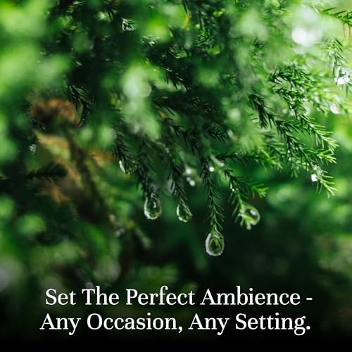 P&J Fragrance Oil Nature Set | Forest Pine, Ocean Breeze, Rain, Fresh Cut Grass, Sandalwood, and Bamboo Candle Scents for Candle Making, Freshie Scents, Soap Making Supplies, Diffuser Oil