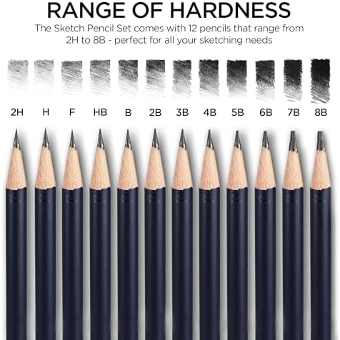 BLUEBIRD Sketch Pencils Set of 12 (2H–8B) – Drawing Pencils for Sketching, Art Supplies for Adults & Teens, Ideal for Drawing Art, Sketching, & Shading