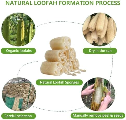 Natural Loofah Sponge, Organic Luffa Exfoliating Body Scrubber, 6 Pack