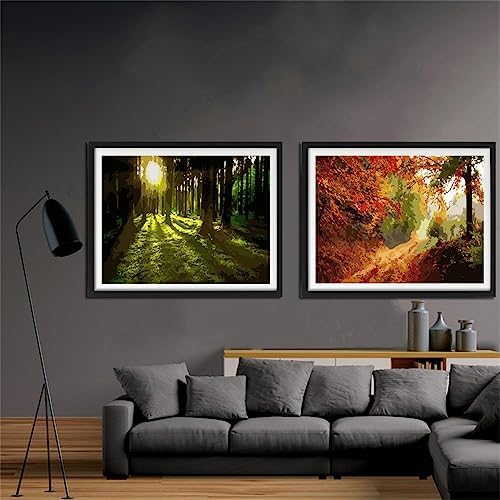YANXIN Paint by Numbers Kit for Adults Beginners 2 Pack Paint by Numbers for Adults Rolled up Canvas for Home Decoration Creative Wall Art with Colorful Gift Box 12x16 inch Forest Sunrise 175-176