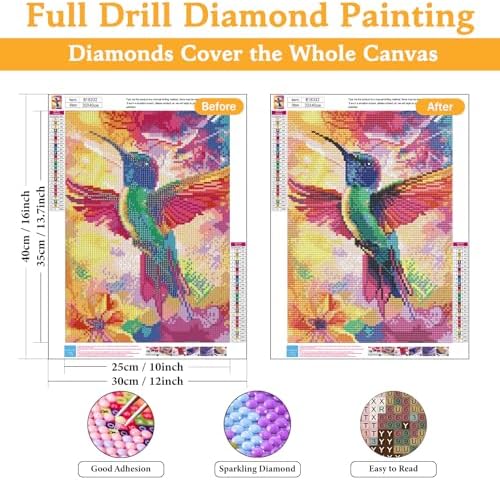 Diamond Art Kits for Adults & Beginners, Hummingbird Diamond Painting Kit