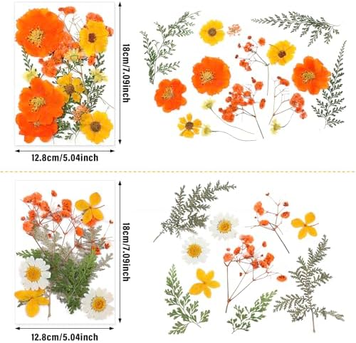 Nuanchu Real Dried Pressed Flowers for Craft Resin Molds DIY, Orange Yellow