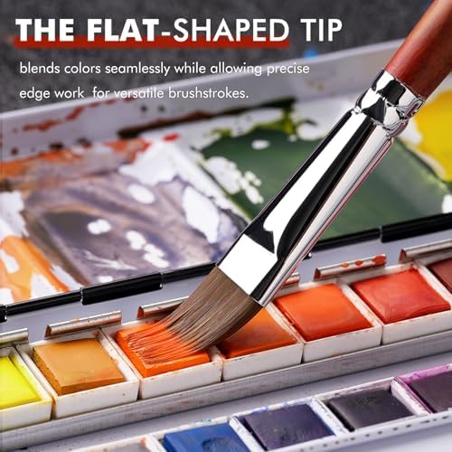 5pcs Dual-Layer Grainer Brush Set- Fuumuui Professional Synthetic Flat Comb Brushes for Unique Texture Painting Perfect for Artists Acrylic, Watercolor and Oil