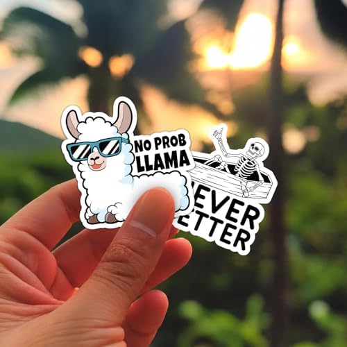 400 Pcs Funny Stickers for Adults Dirty Humor, Water Bottles Waterproof Cool Stickers for Laptop, Bumper, Phone, Hard Hats, Sarcastic, Scrapbooking (400)