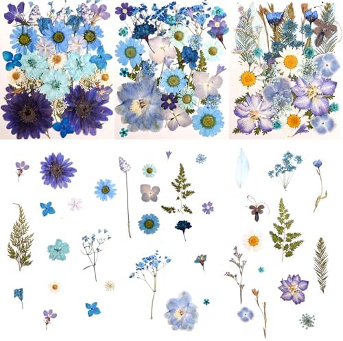 100 PCS Blue Pressed Dried Flowers and Leaves with Tweezers | Natural Dried Flowers, For Resin, Candle, Jewelry, Scrapbooking & DIY Crafts