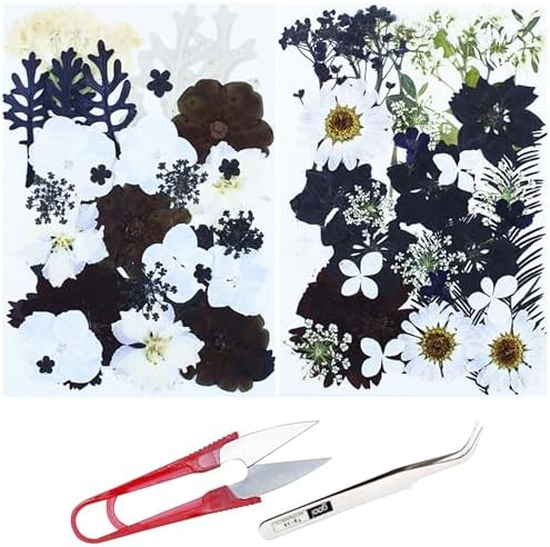 Cayway 2 Pack Pressed Flowers Natural Dried Flowers Black Resin Flowers Real Pressed Flowers with Butterfly Sticker for Resin Scrapbook DIY Art Crafts, Epoxy Resin Jewelry Supplies, Style E