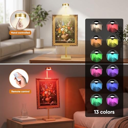 30'' Adjustable Tabletop Easel Stand with Rechargeable 13RGB Poster Light