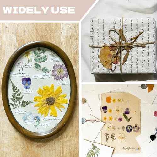 Dried Flowers for Resin