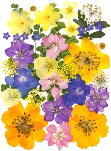 MIKIYA 34Pcs Pressed Dried Flowers for Resin, Assorted Real Natural Bulk Dry Leaves for DIY Art Crafts, Epoxy Molds, Jewelry, Soap, Candle Making, Nails Decors