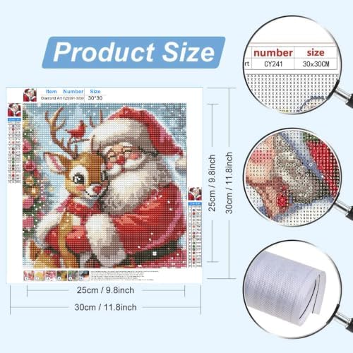 WCHUIMM Christmas Santa Claus Deer Diamond Painting Art Kit for Adults,Winter Diamond Art Painting for Beginners,Christmas Full Drill Round Gem Art Painting 12x12 Inch