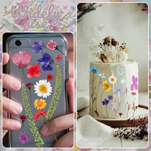 Nuanchu Vibrant Tiny Dried Pressed Flowers Wildflowers for Craft Resin Mold