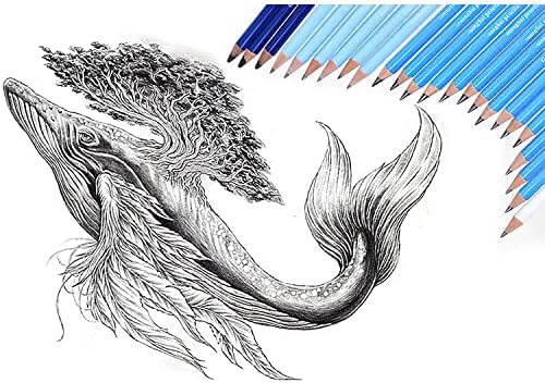YYMIYU 24 Drawing Pencils Set, Art Sketching Pencils Charcoal Set 14B,12B,11B,10B,9B,8B,7B,6B,5B,4B,3B,2B,B,HB,H,2H,3H,4H,5H,6H,& Soft Neutral Hard Charcoal Pencils