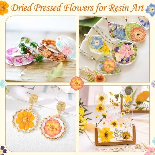 Evatage 155 Pcs Real Dried Pressed Flowers and Leaves for Resin Crafts