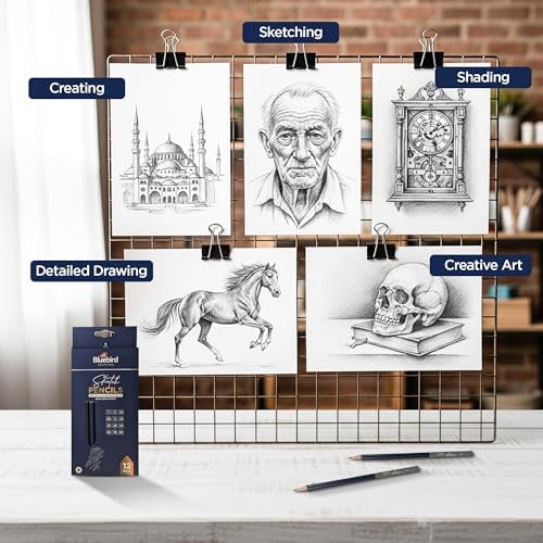 BLUEBIRD Sketch Pencils Set of 12 (2H–8B) – Drawing Pencils for Sketching, Art Supplies for Adults & Teens, Ideal for Drawing Art, Sketching, & Shading