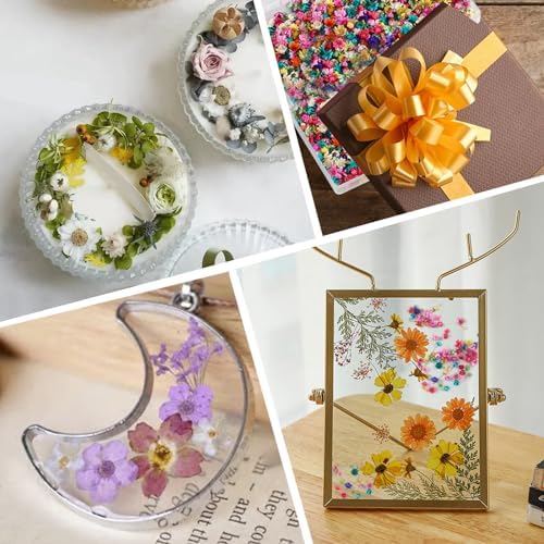 Mini Dried Flowers for Resin,520 Pcs Small Dried Flowers for Crafts