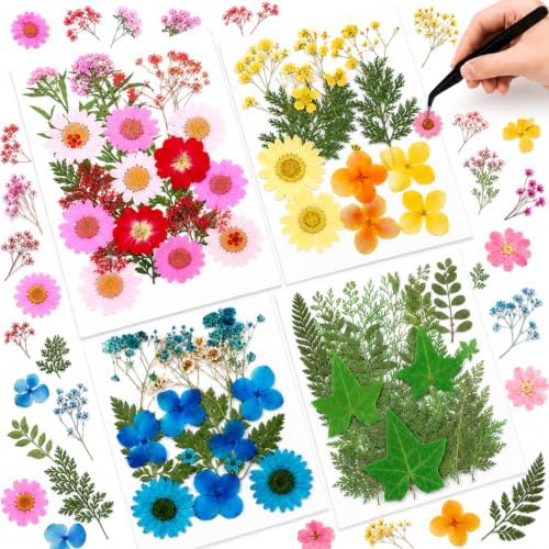 Nuanchu Real Dried Pressed Flowers Wildflowers for Crafts Resin Molds DIY