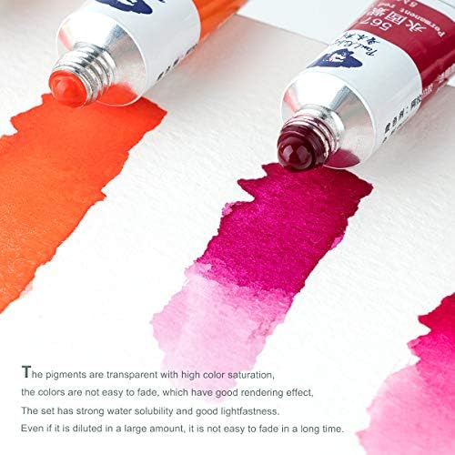 Paul Rubens Watercolor Paint, 24 Vibrant Colors Highly Pigmented, 5ml Tube