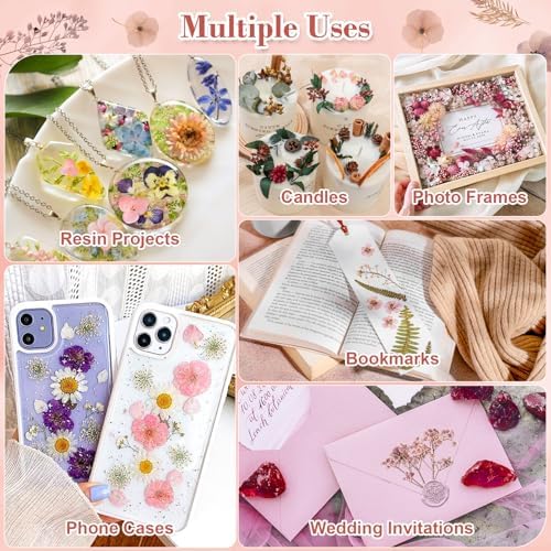 Real Dried Flowers 100% Natural Dried Flowers, Mixed Colors Dried Leaf Flowers for DIY Arts and Crafts Candles Resin Jewelry Nail Pendant Cards Scrapbooking Wedding Home Decoration (Blue)