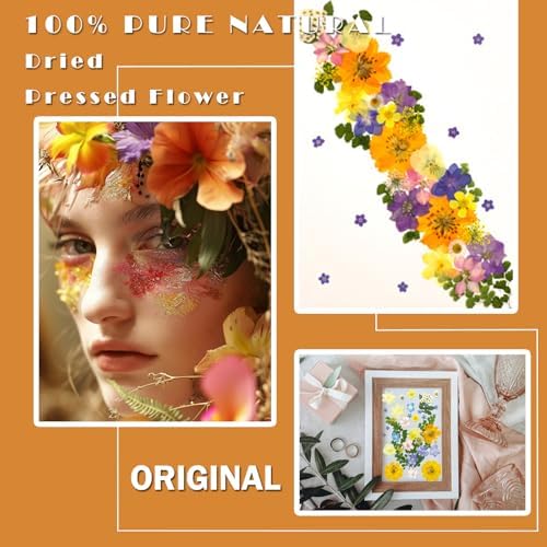 MIKIYA 34Pcs Pressed Dried Flowers for Resin, Assorted Real Natural Bulk Dry Leaves for DIY Art Crafts, Epoxy Molds, Jewelry, Soap, Candle Making, Nails Decors