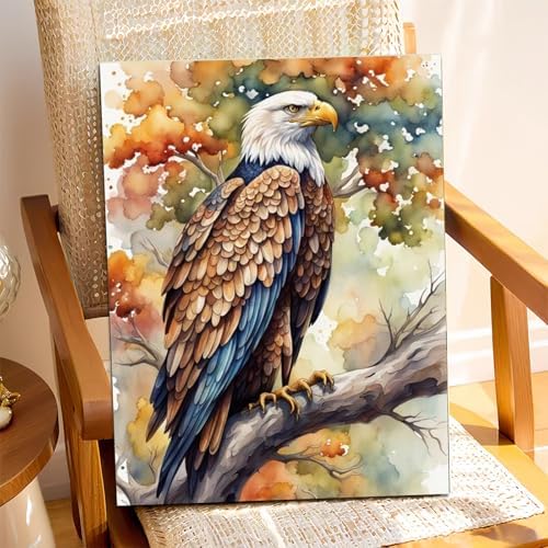 XTCIXAL Paint by Numbers Kit for Adults, Eagle - 16X20 Inch