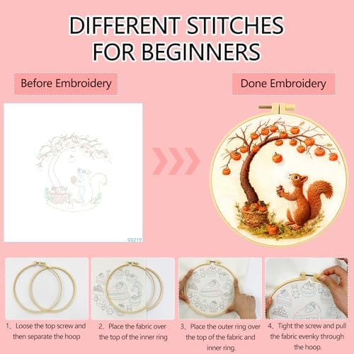 Zhenqing Squirrel Embroidery Kit for Beginners, Autumn Harvest Needlework Craft with Pre-Printed Cotton Fabric, Hoop, Threads & Tools, Woodland Fall Decor (C0219)