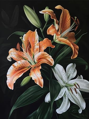 Benjenes Diamond Art Kits for Adults, Flowers Diamond Painting Kits