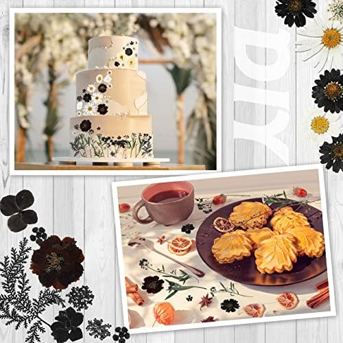 Nuanchu Black White Dried Pressed Flowers for Craft Resin, Gothic DIY Art