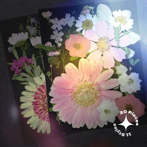 White Dried Pressed Flowers, 40Pcs Real Nature Flowers Set with Tweezers