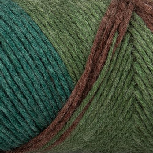 Craft County Size 4 (Medium) 100% Acrylic Fiber Yarn – Variety of Color and Pattern Options – Great for Crochet, Knitting, and Weaving (Forest)