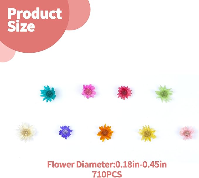 710 PCS Mini Dried Flowers for Resin, Small Dried Flowers for Crafts, Mini-Dried Flower Bulk for Resin Art, Jewelry, Candle Making, Soap Making and DIY Crafts