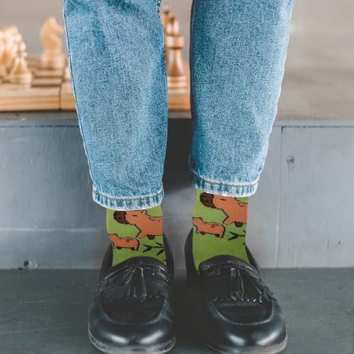 Jeasona Women's Cute Socks Fun Gifts for Wife Mom Daughter Girlfriend