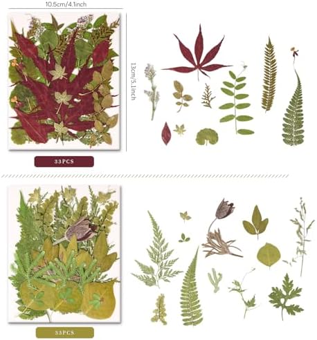 100 PCS Real Pressed Dried Leaves with Tweezers | Natural Dried Flowers, For Resin, Candle, Jewelry, Scrapbooking & DIY Crafts, Leaves 100