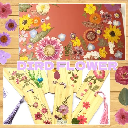 Dried Flowers for Resin Vacuum Packed DIY Pressed Flowers