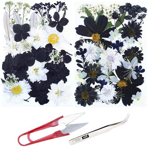 Cayway 2 Pack Pressed Flowers Natural Dried Flowers Black Resin Flowers Real Pressed Flowers with Butterfly Sticker for Resin Scrapbook DIY Art Crafts, Epoxy Resin Jewelry Supplies, Style D