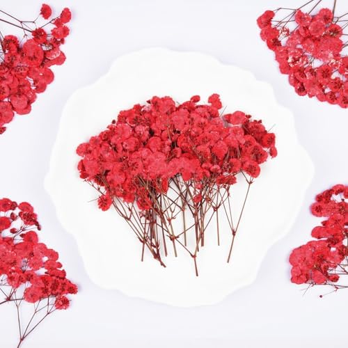 50Pcs Red Babys Breath Dried Pressed Flowers for Crafts,Xinxinran Dry Flowers Kit for Wedding Invitation Accessories,Bookmark,Jewelry Molds,Candle Making Supplies,Soap,Frame,Cakes