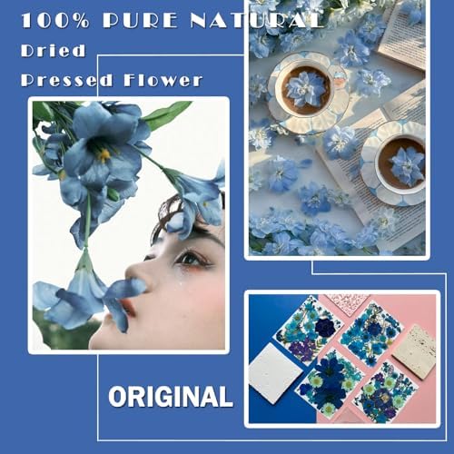 MIKIYA 94Pcs Blue Dried Pressed Flowers for Resin Molds, Assorted Real Natural Bulk Dry Floral Leaves for DIY Art Crafts, Epoxy Jewelry, Candle, Soap Making, Nails Decors Gifts