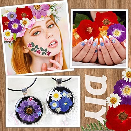 Nuanchu Real Dried Pressed Flowers Wildflowers for Resin Mold Craft DIY
