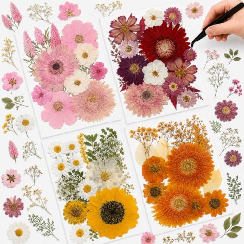 Nuanchu Dried Flowers Pressed for Crafts Resin Molds DIY, Large Sunflower