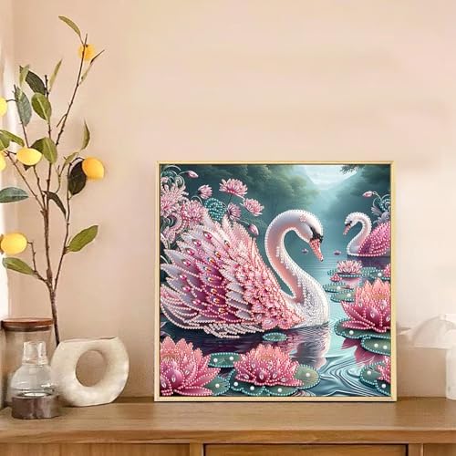 AiYuanzsh 5D Special Shape Diamond Art Kits for Beginners, Diamond Painting Kits for Adults, Crystal Rhinestones Diamond Painting for Home Wall Decoration Gift 12×12 inch/30×30 cm, Beautiful Swan