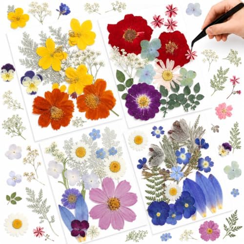 Nuanchu Real Dried Pressed Flowers Wildflowers for Resin Mold Craft DIY