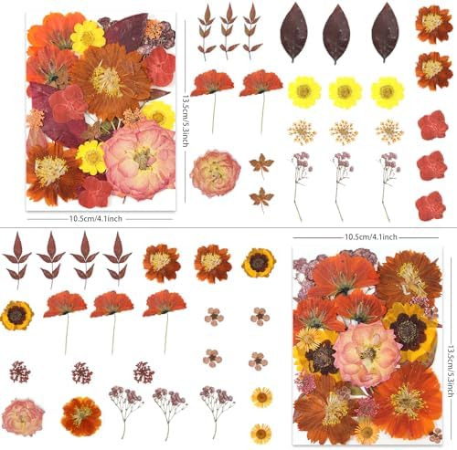 LUXEEASE 100P Autumn Dried Pressed Flowers, Warm Tone | Rust orange burgundy blooms, cozy fall feel, for resin scrapbook card seasonal home decor, tweezers included