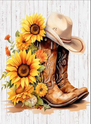 AIBOERL Paint by Numbers Kit for Adults Beginner, Boots, 12X16In