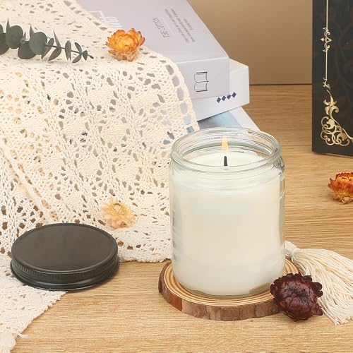 MILIVIXAY 20 Pack 8 OZ Thick Glass Clear Candle Jars with All Black Metal Lids-Bulk Empty Candle Jars for Making Candles-Canning Jar for Spice, Liquid, Sample- Dishwasher Safe.