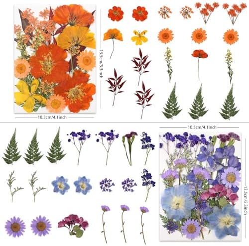 LUXEEASE 80P Vibrant Multicolor Dried Pressed Flowers | No matching needed, layered blooms sizes, orange purple red pink, for resin scrapbook candle decor, tweezers included