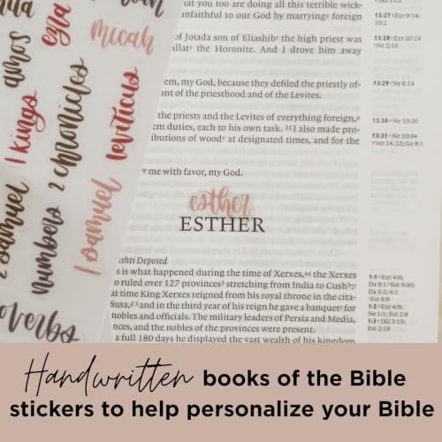 Esther Bible Journaling Kit, Loaded Bible journaling Supplies, Highlighters, Pens, Vellum Bible Tabs, Sticky Notes, Sticker Sheets, Fineliner, Paperclips & Bible Study Guide