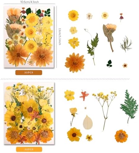100 PCS Yellow Pressed Dried Flowers and Leaves with Tweezers | Natural, For Resin, For Candle, For Jewelry, For Scrapbooking & DIY Crafts