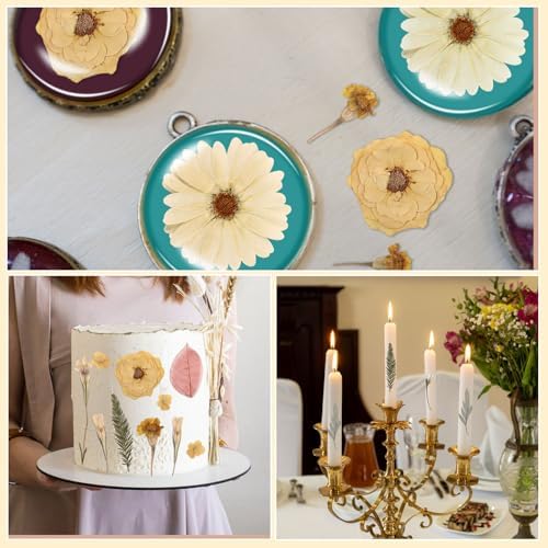 Nuanchu Boho Beige Dried Pressed Flowers for Craft Resin Mold, Vintage