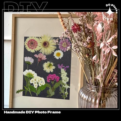 White Dried Pressed Flowers, 40Pcs Real Nature Flowers Set with Tweezers